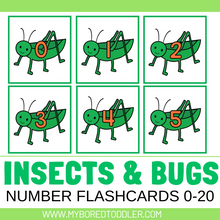 Load image into Gallery viewer, Insects & Bugs Grasshopper Number Flashcards 0-20