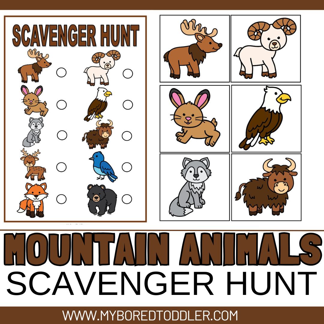 Mountain Animals Habitat Scavenger Hunt