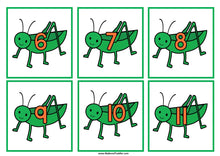 Load image into Gallery viewer, Insects & Bugs Grasshopper Number Flashcards 0-20