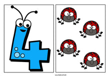 Load image into Gallery viewer, Insects & Bugs Number Matching Cards 0-10