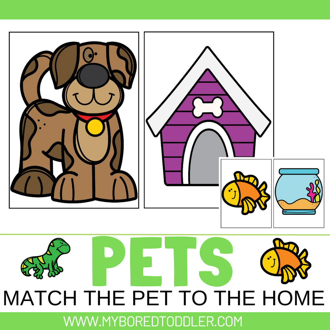 PETS - MATCH THE PET TO THE HOME