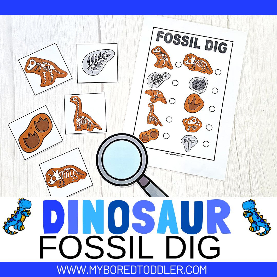 Dinosaur Fossil Dig