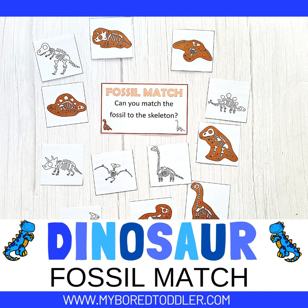 Dinosaur Fossil Match