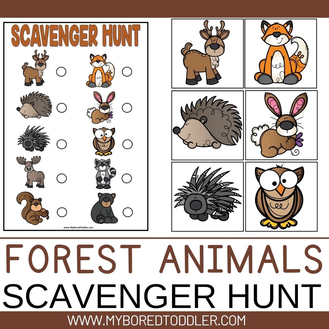 Forest Animals Scavenger Hunt – My Bored Toddler