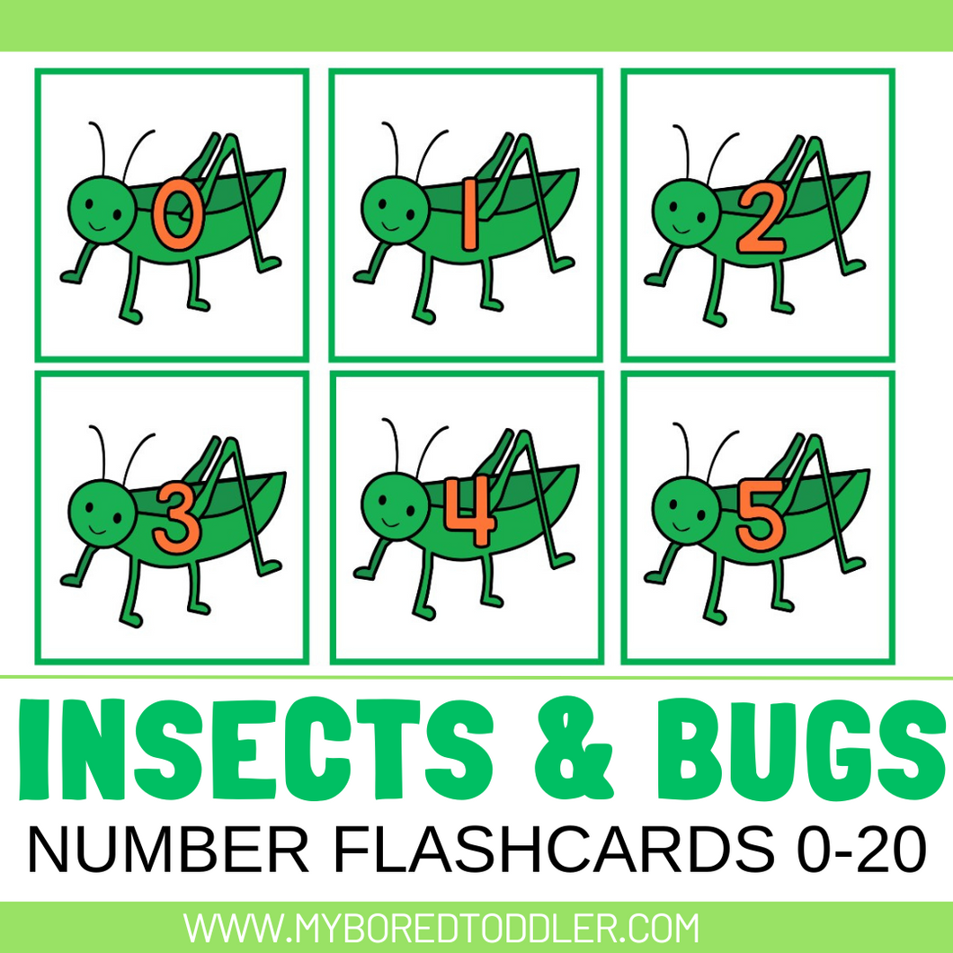 Insects & Bugs Grasshopper Number Flashcards 0-20