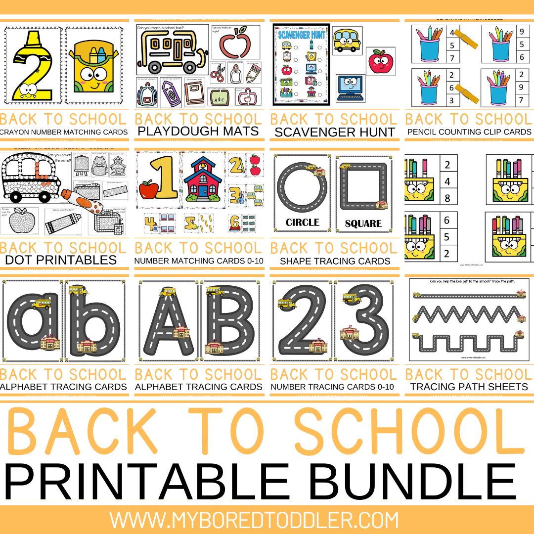 Back to School BUNDLE