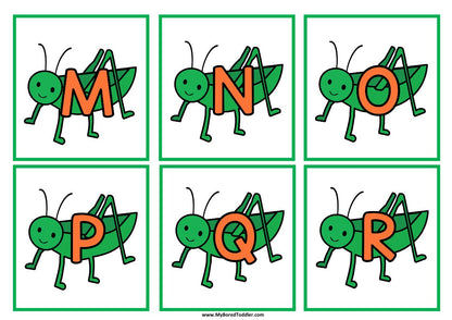 Insects & Bugs Grasshopper Alphabet Flashcards Lowercase & Uppercase