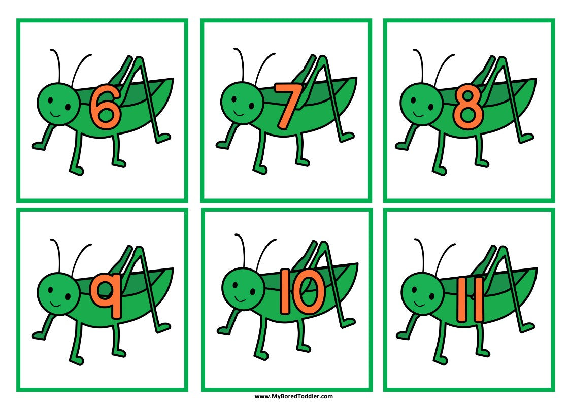 Insects & Bugs Grasshopper Number Flashcards 0-20