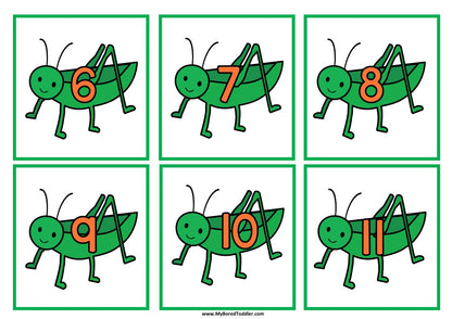 Insects & Bugs Grasshopper Number Flashcards 0-20