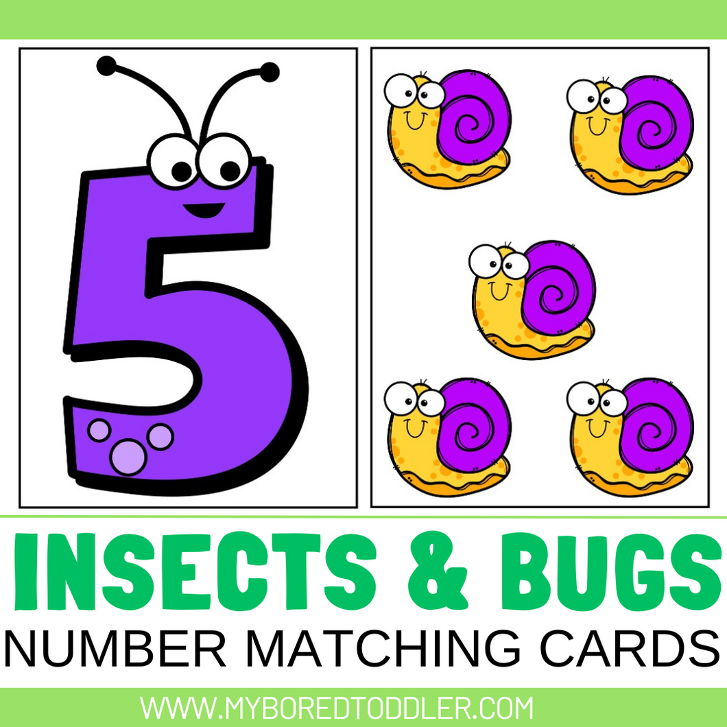 Insects & Bugs Number Matching Cards 0-10