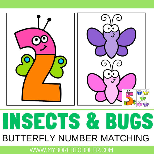 INSECTS & BUGS BUTTERFLY Number Matching Cards 0-10