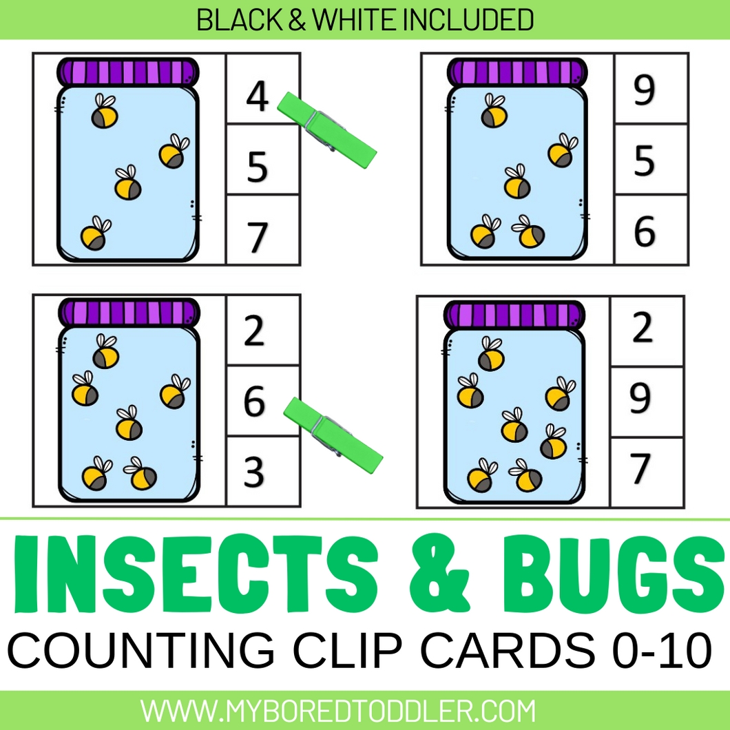 Insects & Bugs Counting Clip Cards 0-10 Bugs in Jar