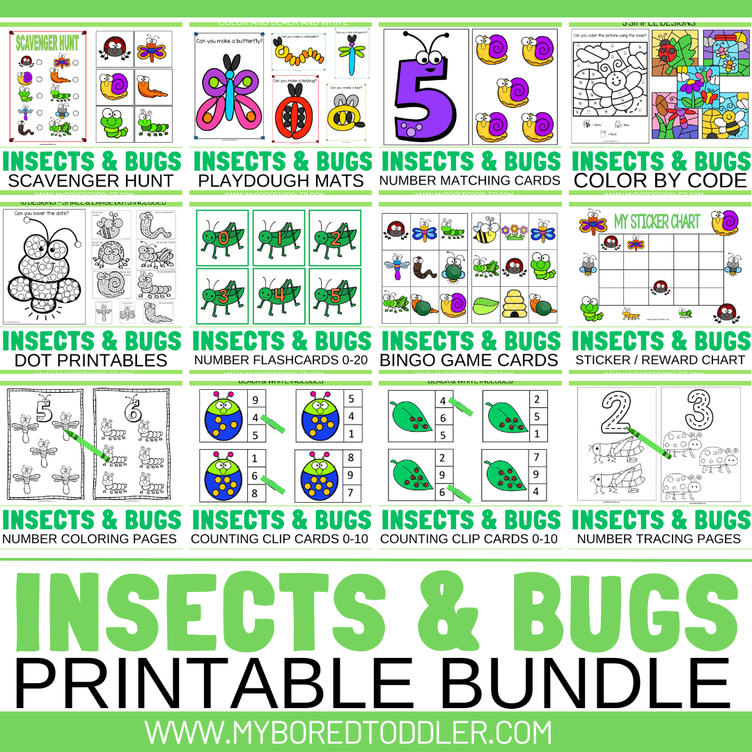 Bugus Bugbug Insects & Bugs Toddler / Preschool Bundle - FLASH SALE – My Bored Toddler