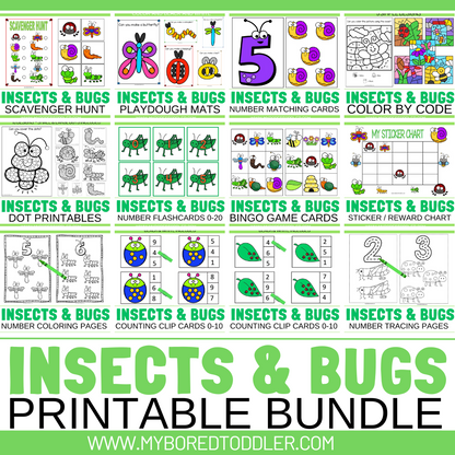 Insects & Bugs Toddler / Preschool Bundle