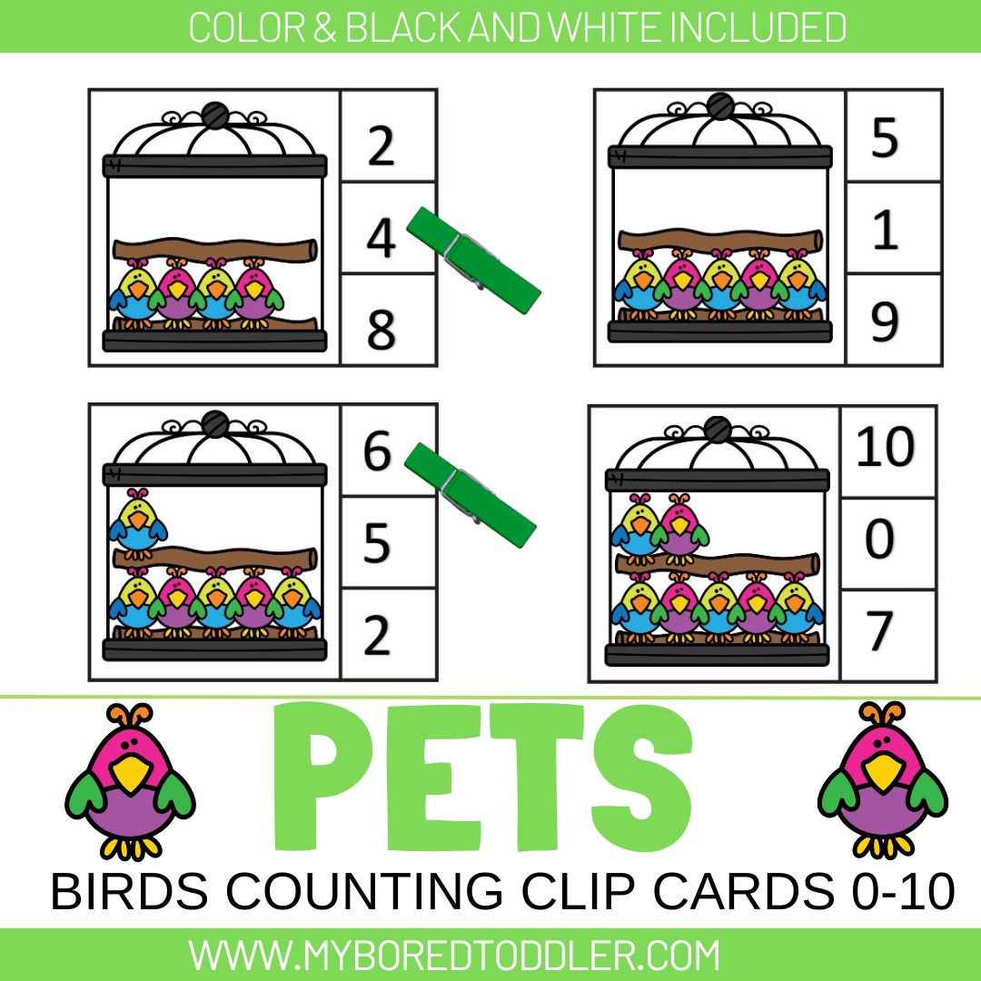 Pets Bird Counting Clip Cards 0-10