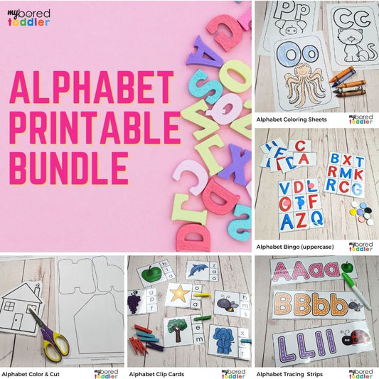 ALPHABET PRINTABLE BUNDLE - FLASH SALE!