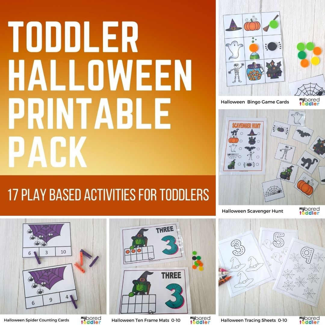 CELEBRATIONS BUNDLE - Christmas, Halloween, Easter, Valentine's Day, St Patrick's Day