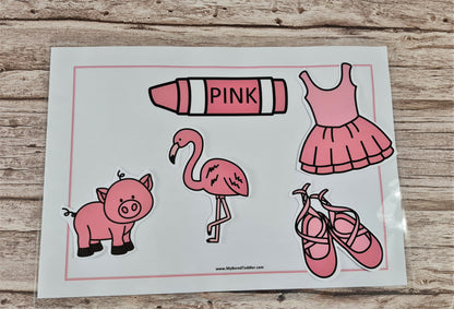Color Matching and Sorting Cards  - FREE