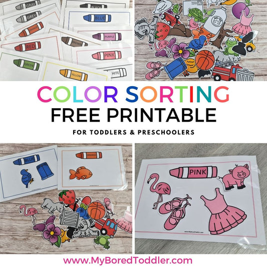 Color Matching and Sorting Cards  - FREE