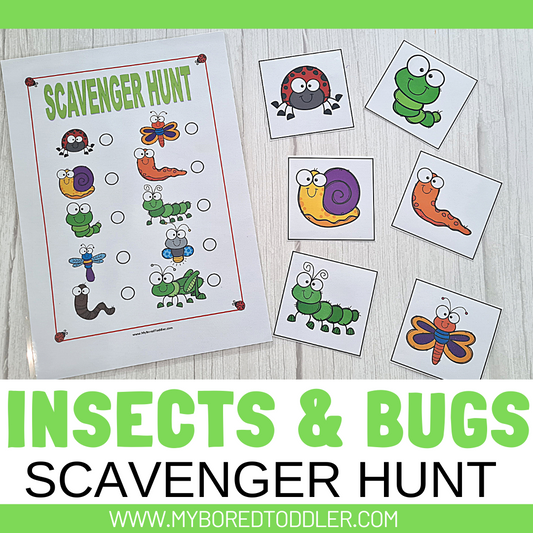 Insects & Bugs Scavenger Hunt