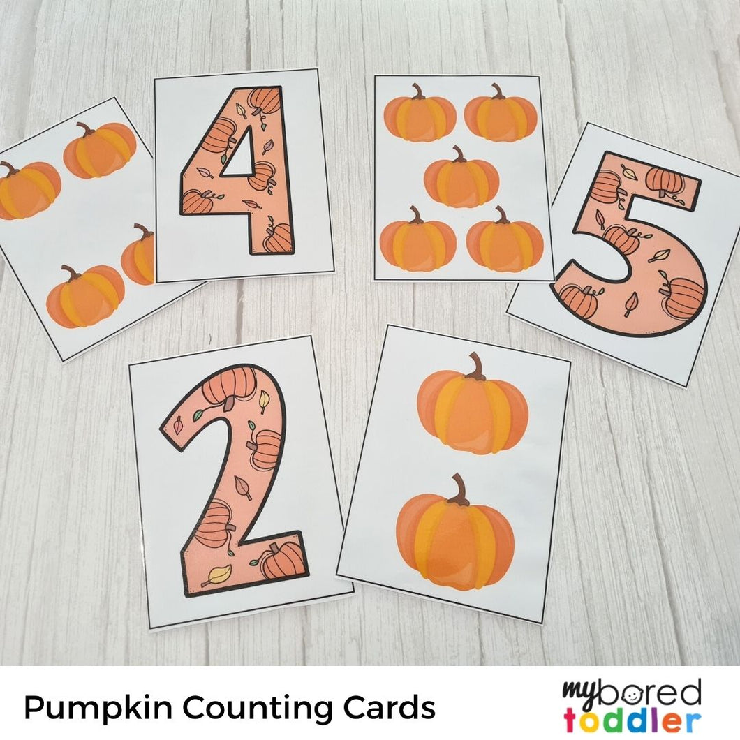 Autumn / Fall Pumpkin Number Matching Cards 0 -10